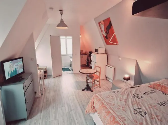 Location Saisonniere, Meublee, Appartement Type Studio A Sevres